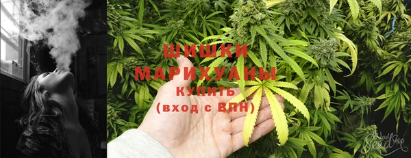 трава Дмитриев