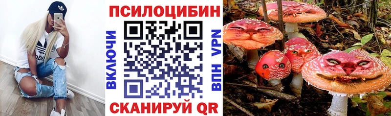 Купить закладки  Инсар  Псилоцибиновые грибы MAGIC MUSHROOMS 